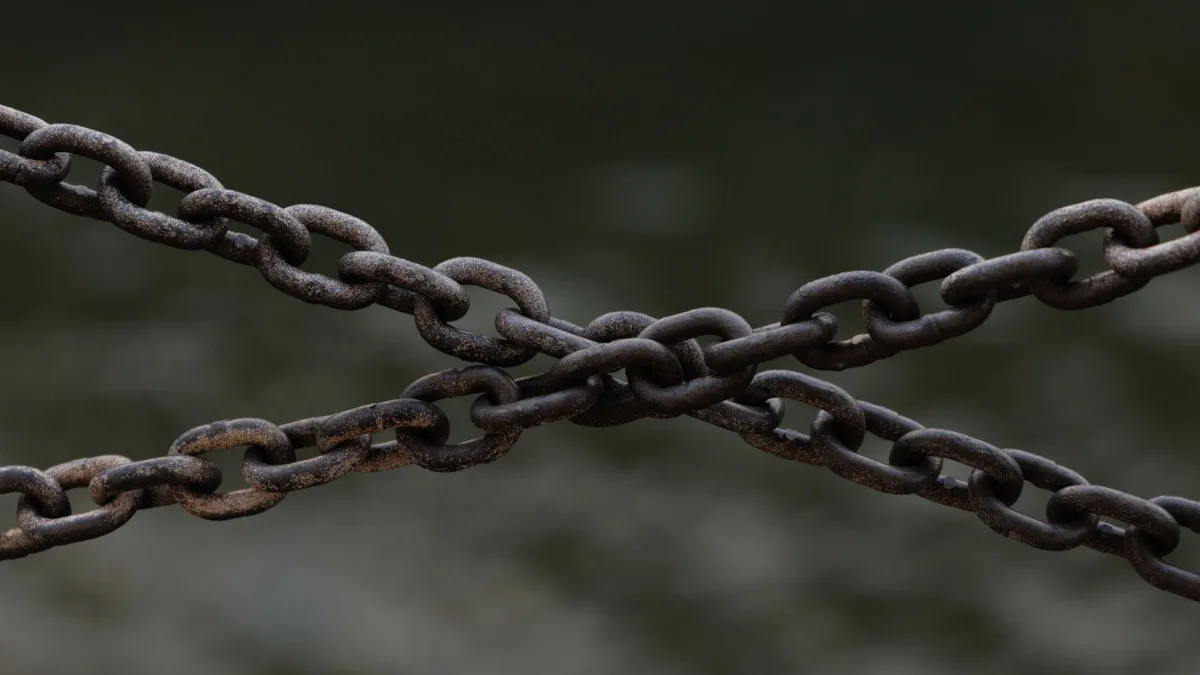Backlink Checker: A Practical Guide to Your Link Profile